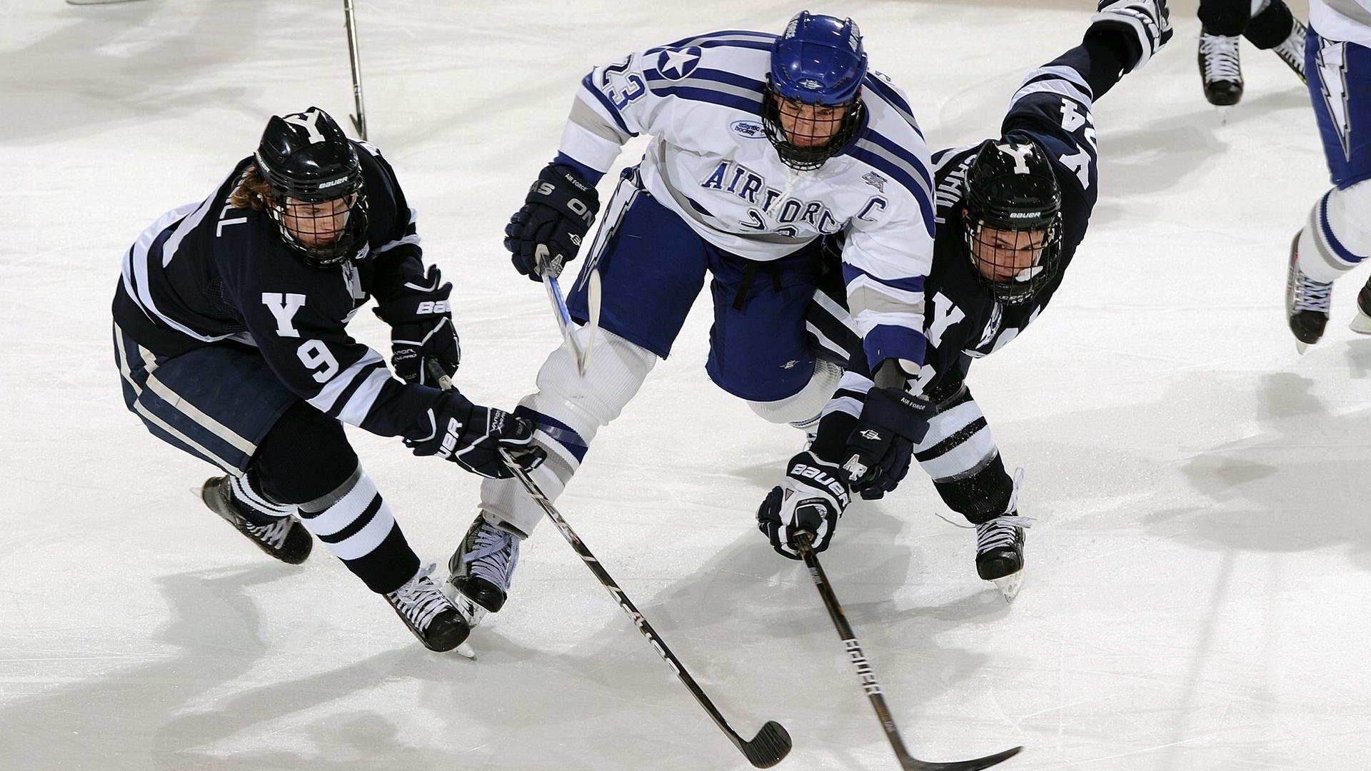 最佳新人投票火热进行，关注未来之星！，未来之星选拔